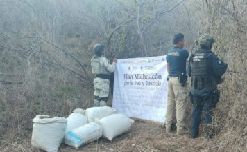 Asegurados 53 kg de marihuana en Huetamo: SSP