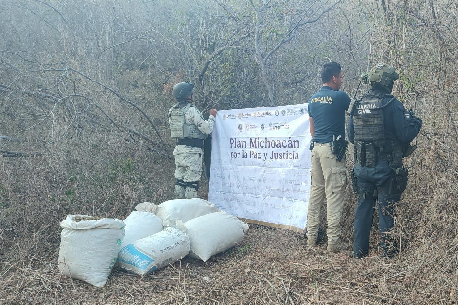 WhatsApp Image 2026-01-30 at 6.19.19 PM