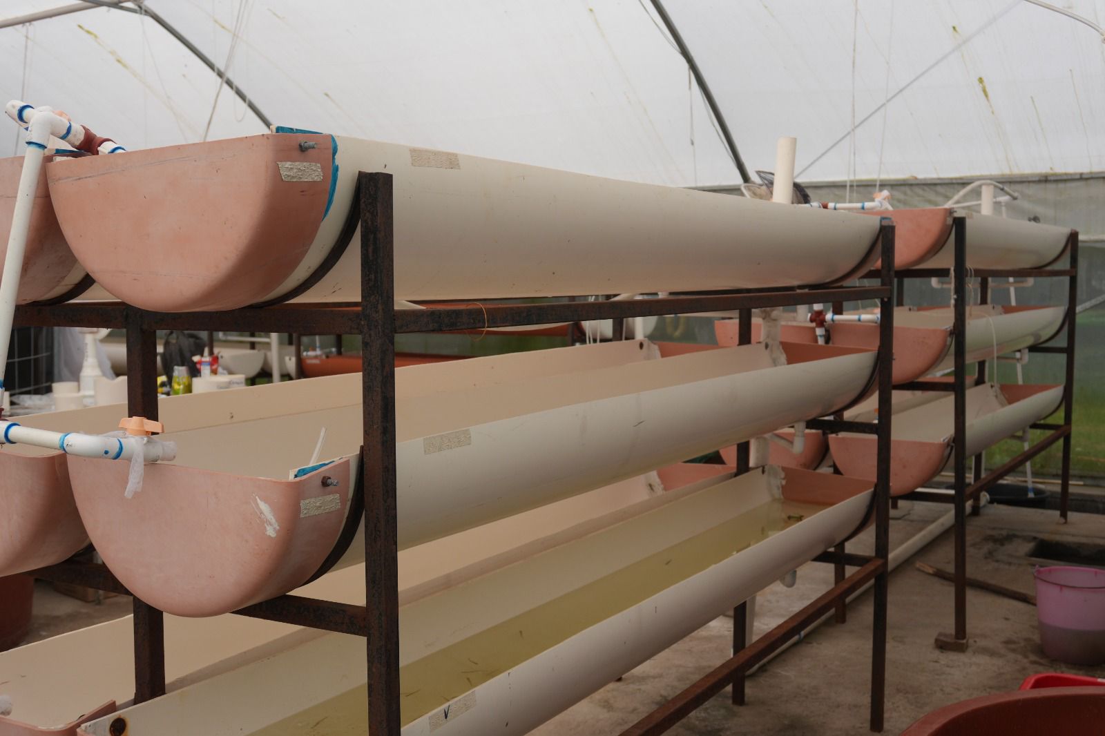 WhatsApp Image 2026-01-30 at 9.39.27 AM