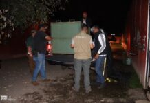 Zoológico de Morelia resguarda a felinos rescatados en inmueble abandonado de Jiquilpan