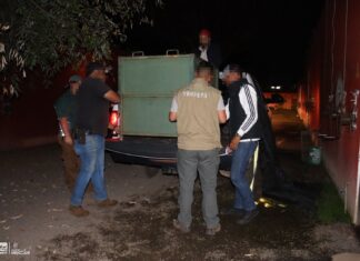 Zoológico de Morelia resguarda a felinos rescatados en inmueble abandonado de Jiquilpan