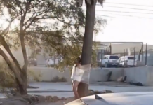 Curioso hallazgo en Tijuana: localizan a hombre amarrado a un árbol con mensaje “Por infiel”