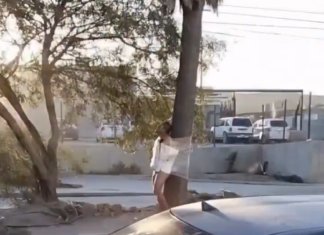 Curioso hallazgo en Tijuana: localizan a hombre amarrado a un árbol con mensaje “Por infiel”