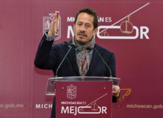 Michoacán va por la protección total de su aguacate: Sedeco