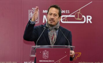 Michoacán va por la protección total de su aguacate: Sedeco