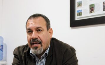 ProForest garantiza que el aguacate que llega a las mesas está libre de deforestación