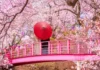 Japón da la bienvenida al Hanami 2026