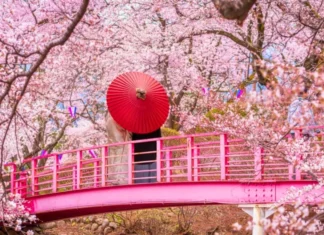 Japón da la bienvenida al Hanami 2026