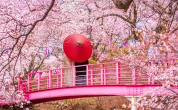 Japón da la bienvenida al Hanami 2026