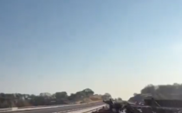 Muere chofer tras choque de tráiler en el tramo Autopista México–Guadalajara entre Zinapécuaro y Maravatío