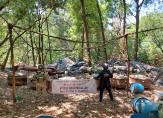 En operativo interinstitucional, SSP desactiva laboratorio de droga en Arteaga