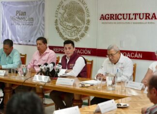 Dispersados más de 374 mdp en incentivos para productores de maíz en Michoacán