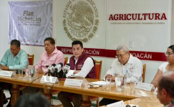 Dispersados más de 374 mdp en incentivos para productores de maíz en Michoacán