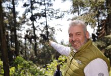 Bedolla celebra incremento del 64% en la migración de la Mariposa Monarca