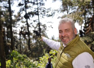 Bedolla celebra incremento del 64% en la migración de la Mariposa Monarca