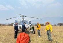 Controlado el 90 % del incendio forestal en el Área Natural Protegida de Tzitzio