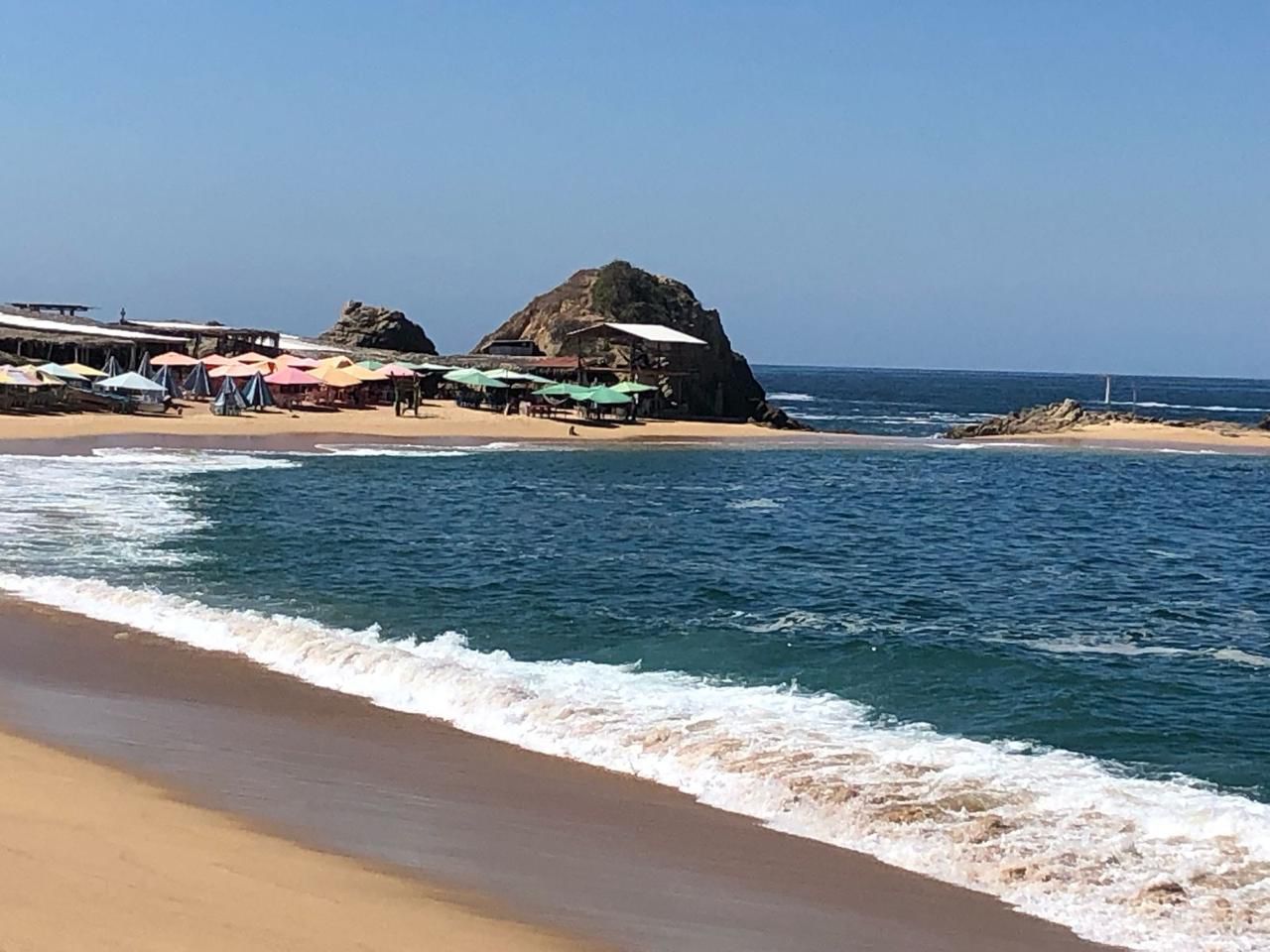 WhatsApp Image 2026-03-31 at 8.06.21 AM (1)