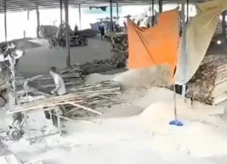 Trabajador muere tras accidente con maquinaria en aserradero