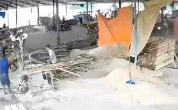 Trabajador muere tras accidente con maquinaria en aserradero