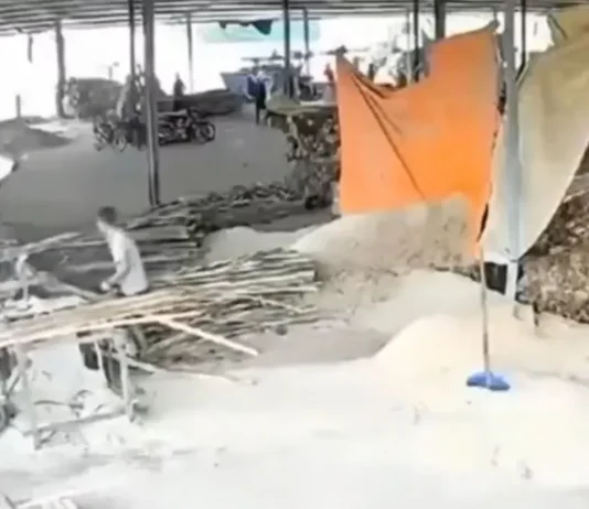 Trabajador muere tras accidente con maquinaria en aserradero