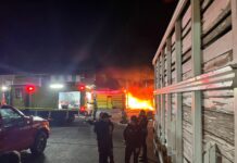 Ataque armado e incendio en el Mercado de Abastos de Morelia