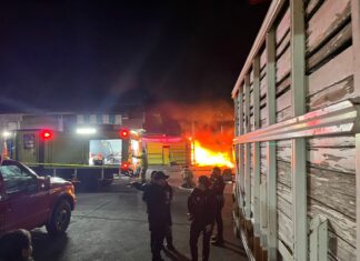 Ataque armado e incendio en el Mercado de Abastos de Morelia