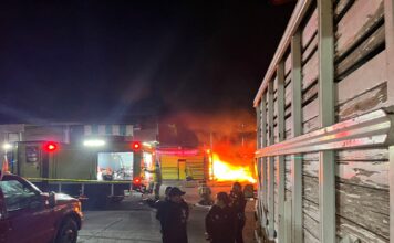 Ataque armado e incendio en el Mercado de Abastos de Morelia