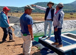 Más de 75 mdp invertidos en infraestructura hídrica para comunidades indígenas de Michoacán