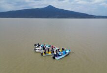 Gobierno de Michoacán siembra mil ejemplares de achoque en el lago de Pátzcuaro