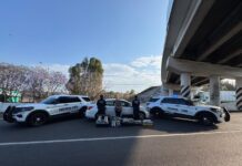 Aseguran Guardianes del Camino 5 maletas con 65 kilos de mariguana en la Autopista de Occidente: SSP