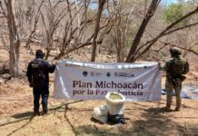 SSP y Defensa incineran 12 mil 600 plantas de mariguana