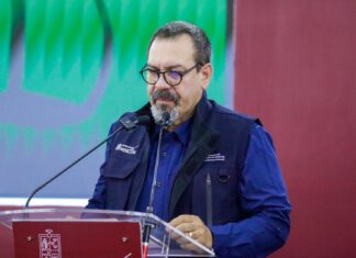 El lago de Pátzcuaro recobra vida; en 2026 se han descubierto 18 manantiales