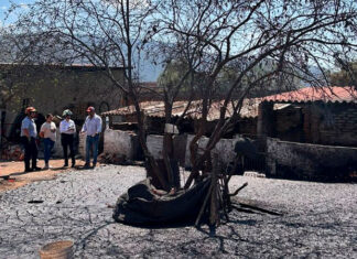 Descartan géiser en Ixtlán: fenómeno hidrotermal mantiene en alerta a Protección Civil