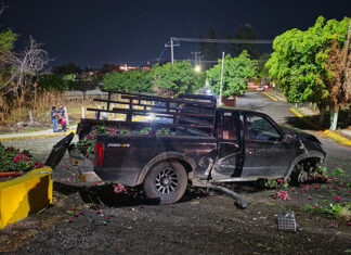 Roban camioneta cargada con rábanos y terminan chocando en plena huida