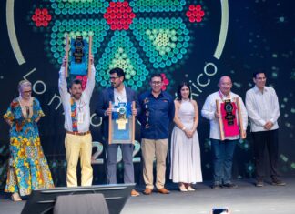 Premian a Michoacán por la Monarca como la mejor experiencia natural de México