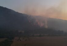 Helibalde suma 14 mil litros de agua para sofocar incendio forestal en Pátzcuaro: Bedolla