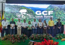 Michoacán se une a la élite mundial contra la deforestación