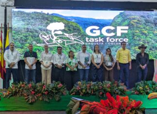 Michoacán se une a la élite mundial contra la deforestación