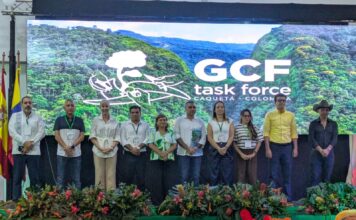 Michoacán se une a la élite mundial contra la deforestación