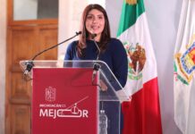 Seimujer respalda reforma para prohibir candidaturas a deudores y agresores