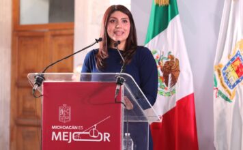 Seimujer respalda reforma para prohibir candidaturas a deudores y agresores