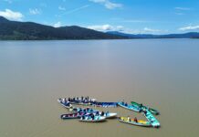 Gobierno estatal libera 40 mil crías de pez blanco para el rescate del Lago de Pátzcuaro