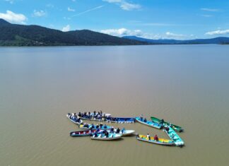 Gobierno estatal libera 40 mil crías de pez blanco para el rescate del Lago de Pátzcuaro