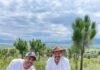 Priorizan rescate de cuencas y Áreas Naturales Protegidas en reforestación estatal