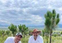 Priorizan rescate de cuencas y Áreas Naturales Protegidas en reforestación estatal