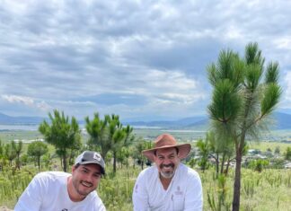 Priorizan rescate de cuencas y Áreas Naturales Protegidas en reforestación estatal