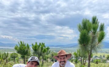 Priorizan rescate de cuencas y Áreas Naturales Protegidas en reforestación estatal