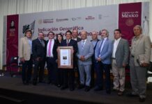 Indicación Geográfica del aguacate genera mayor valor para 48 mil productores michoacanos