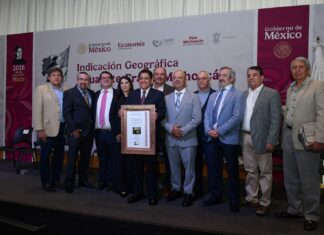 Indicación Geográfica del aguacate genera mayor valor para 48 mil productores michoacanos