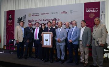 Indicación Geográfica del aguacate genera mayor valor para 48 mil productores michoacanos